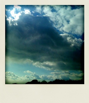 Polarizeサンプル画像_1_2