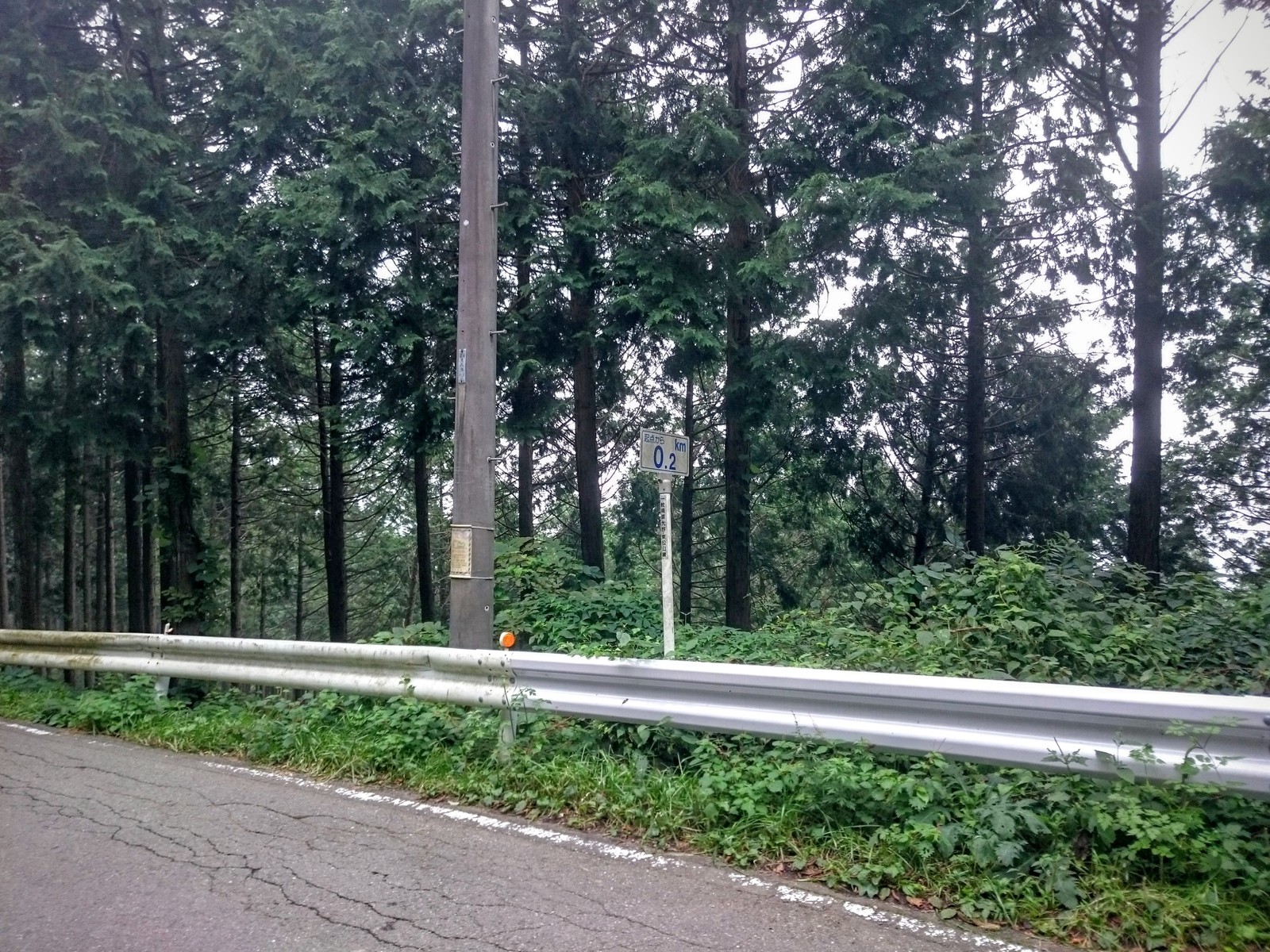 白石峠 超定番の急坂コースは初心者泣かせ 比企 奥武蔵cycle情報局 白石峠 超定番の急坂コースは初心者泣かせ 比企 奥武蔵cycle情報局