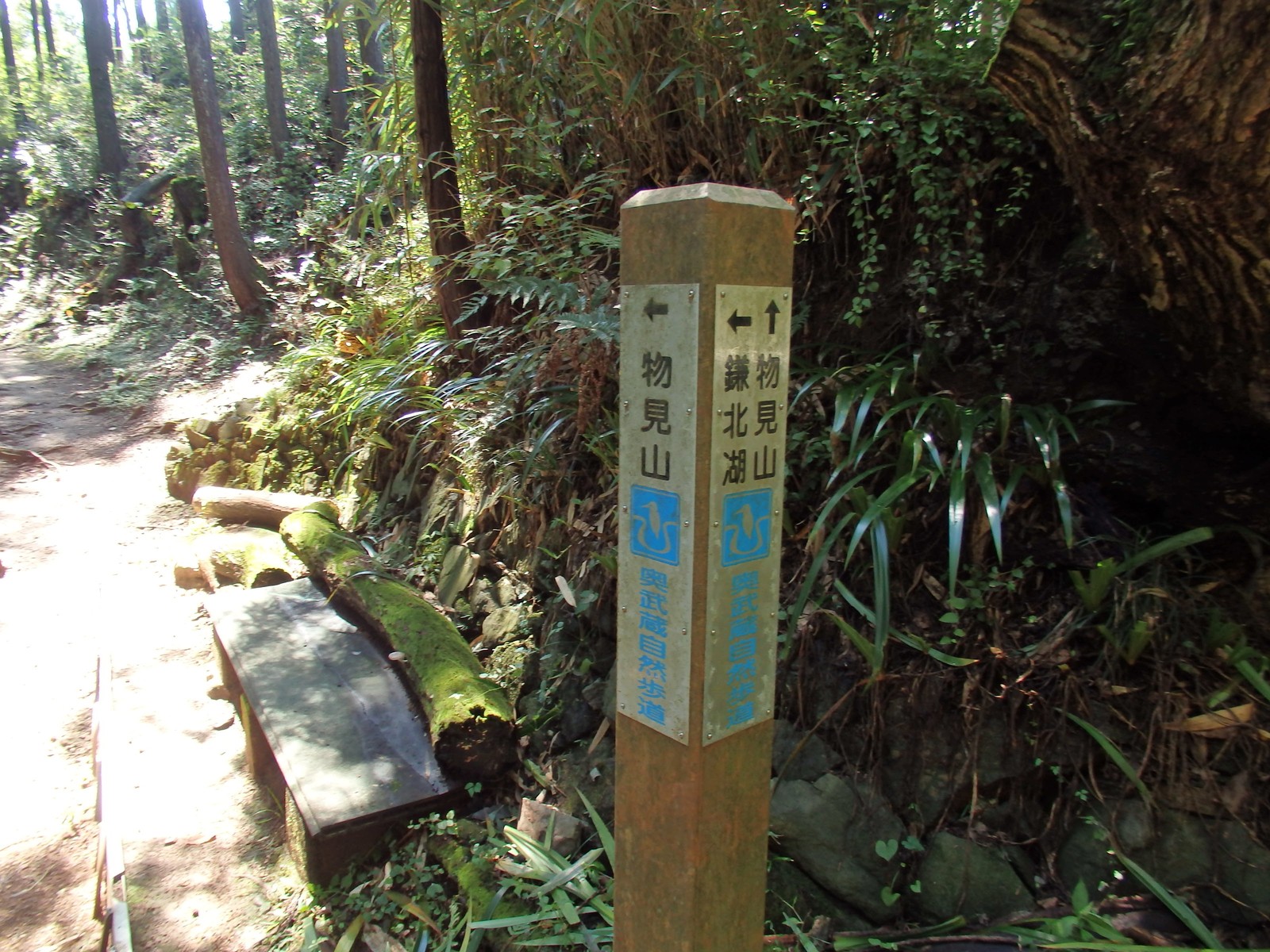 奥蔵山様 刈穂 山廃純米+12 / はせがわ酒店 オンライン店