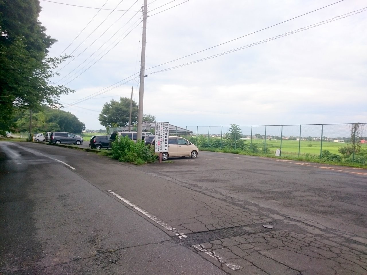 八丁湖 ねこ 比企 奥武蔵cycle情報局