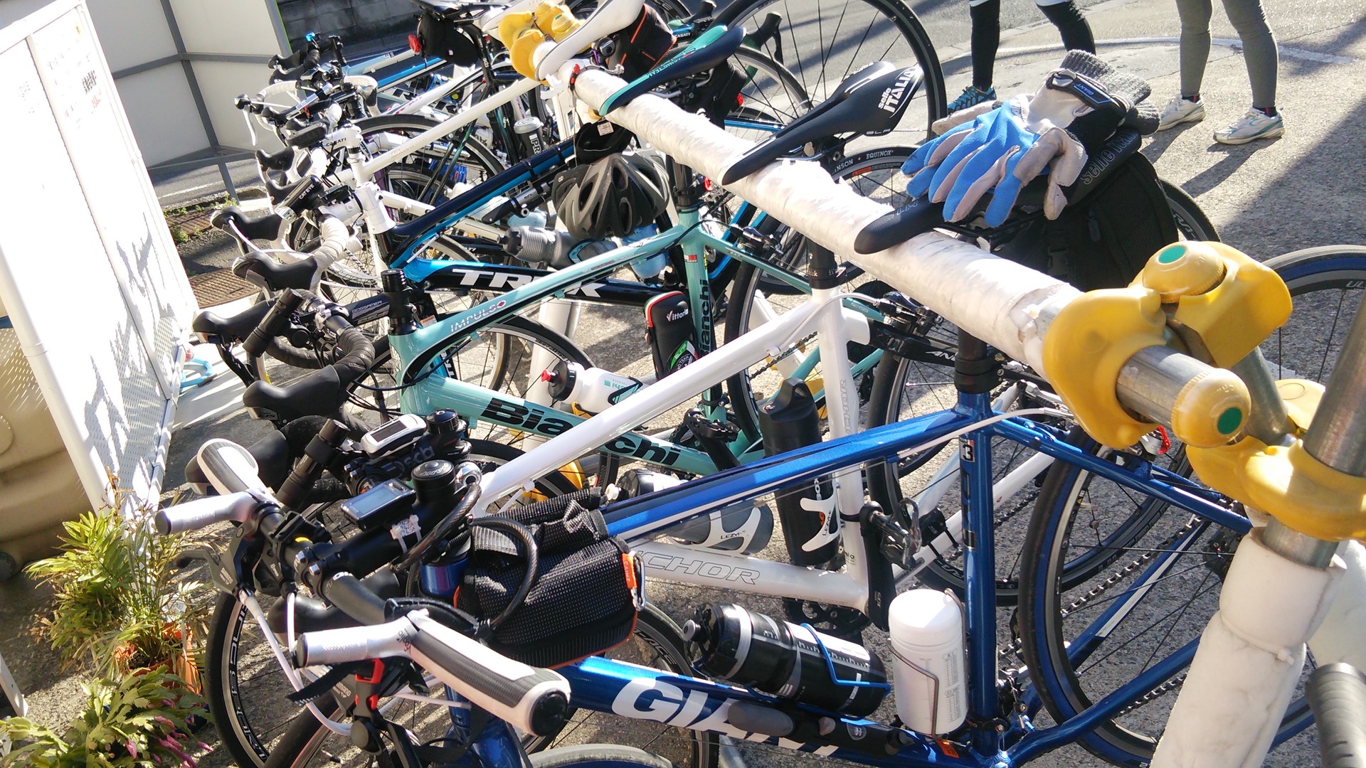 クロスバイク]荒川グルメサイクリング70km走行に行ってきましたよ 