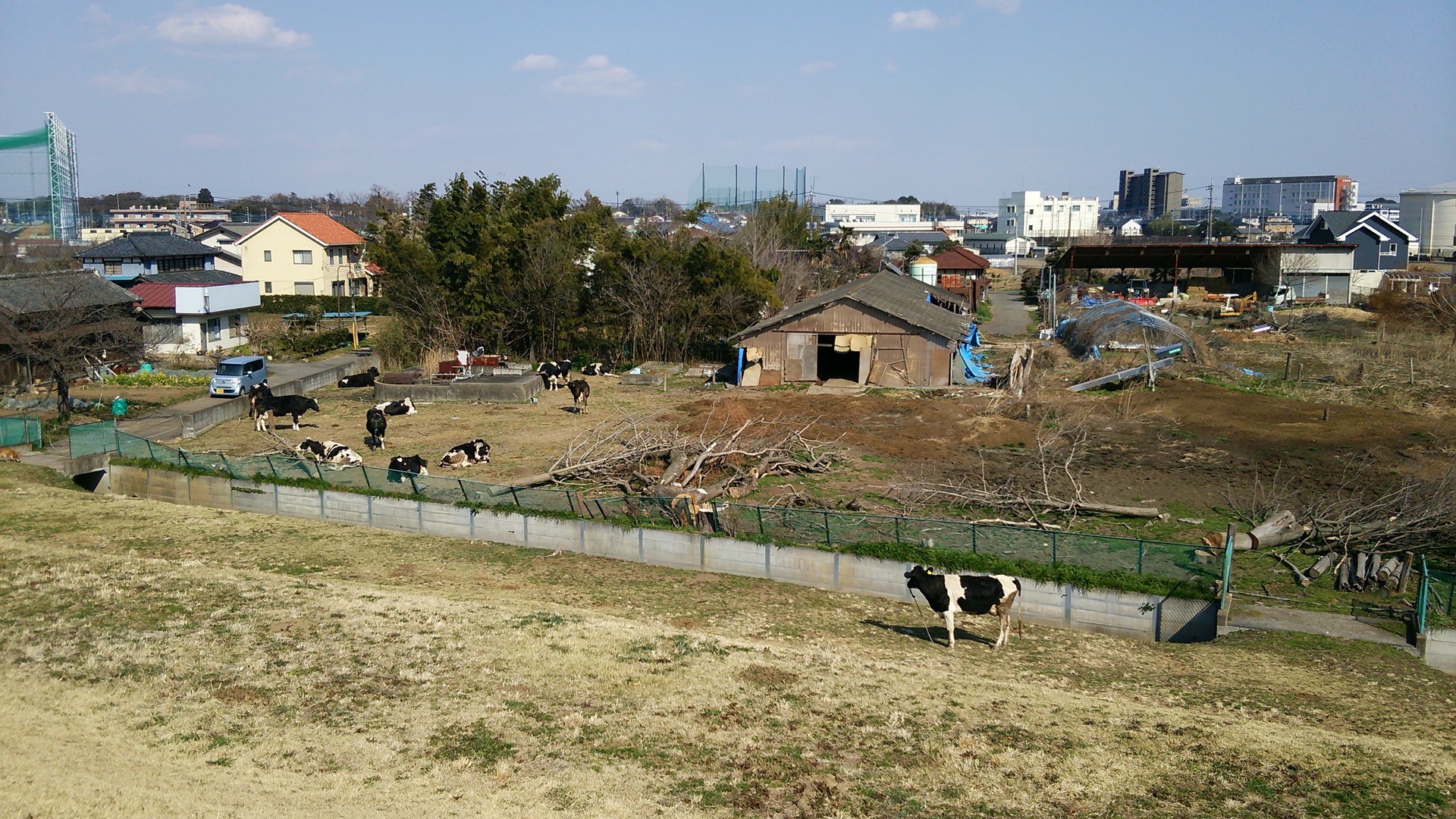 クロスバイク]荒川グルメサイクリング70km走行に行ってきましたよ 