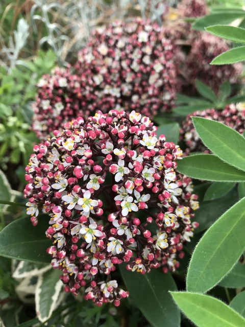 0EC2564E-7D36-4F47-9C32-C2A09612F70B