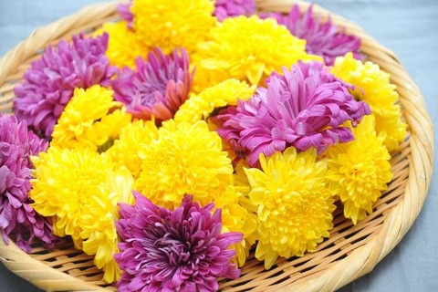 46F66DFE-CD36-4E2F-BE66-624310282A1E