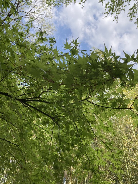 0679E901-1652-4425-B4DF-5C76980D0D9B