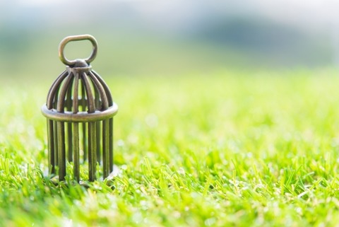 B39BD4A6-C6F7-4AD5-8E5D-8CD2B9B0B558