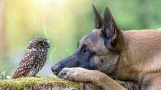 5CF76E91-D901-44F0-9291-417D7B69B9E1