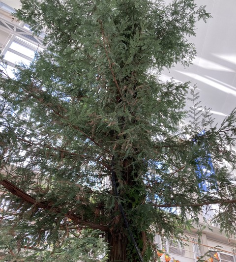 16A42A61-B0D1-4A89-B2D7-10D362C4F8AD