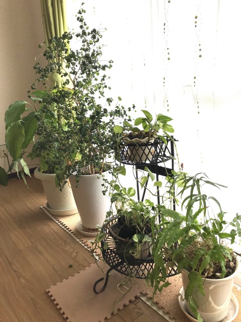 25C7442B-689B-446E-9D3A-7756518BC603