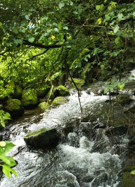 8E9E8475-865C-40C9-86E7-4F6F7E9F291D