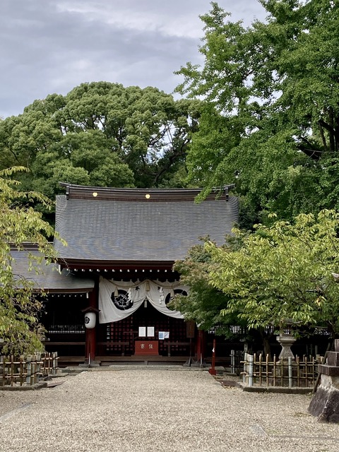 86C42696-D5EA-4010-A383-CAE4C848A920