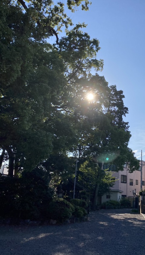 21AFAD2C-AF45-4C6D-AA3B-E31F00DC48E3