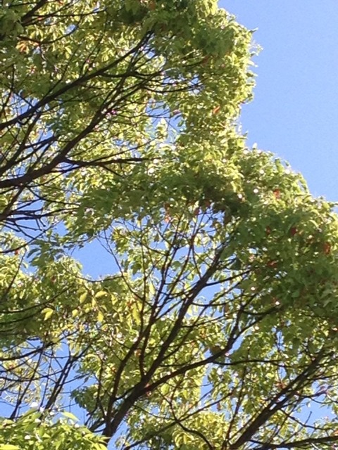 2014-05-17-14-51-12