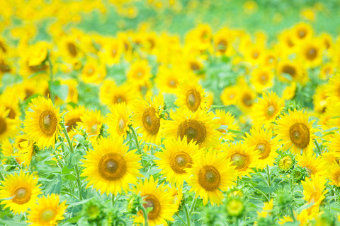 4BA5EF63-C6CE-42C1-8DFB-72103AC0F4ED