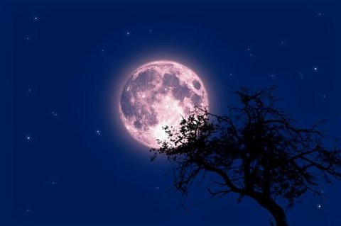 04F5FB01-B9C9-4FD5-B2DA-3826F8654BBB