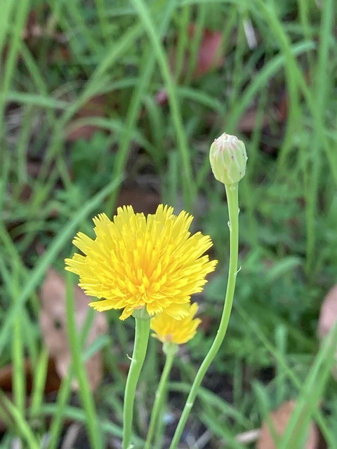 4F077FD6-1F0C-43FB-85F0-D47855B79402