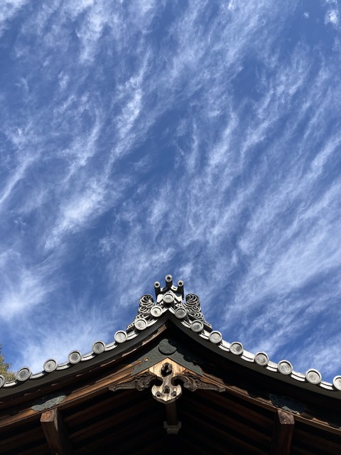 AEAAF139-B0B4-4170-A65D-9D6A1BE4172B