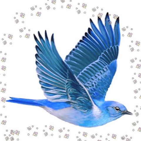 青い鳥