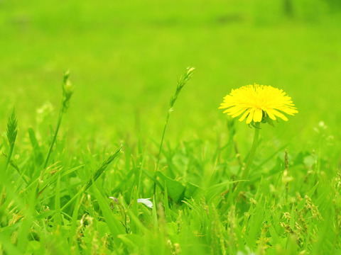 923DA58B-8F84-4EC7-A59D-682EF59C435C