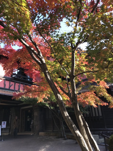 05C17826-D2DE-4B72-BC6A-031738F1DFE7