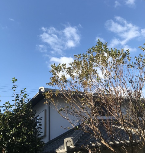 171947DE-63DB-4EDB-8171-10FEC0FF9545