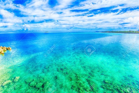 EC556573-ED85-4DE0-AD75-0C5FFEFC3563