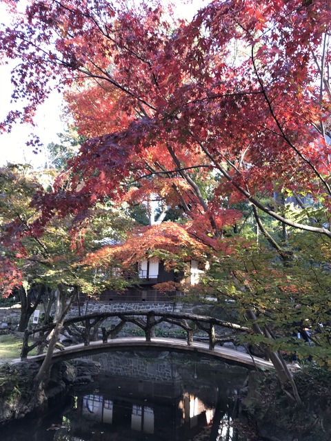 FC751DF4-80CD-4B1A-BFFA-111108717602