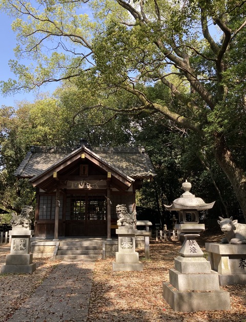 319C6DF3-B1C0-473B-8DA9-2F94A49BFC1C