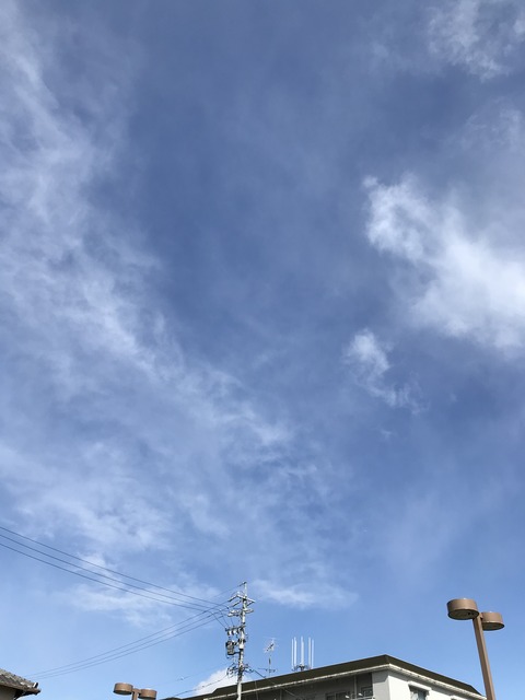 565B0E3A-138E-4801-B7E1-89E69CE292FA