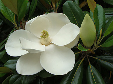 AE443772-E289-4CCD-8246-23FD240410DB