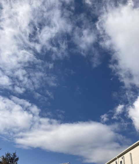 2112E2B7-115B-4F49-895F-5C5C0D32BC6C