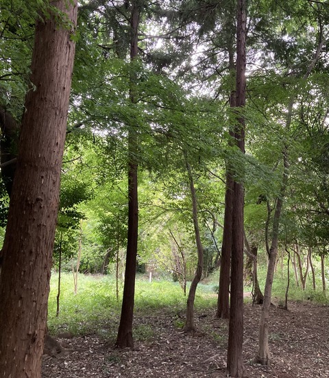 D8937B2F-59D4-488D-AF39-8F44C17E5B56