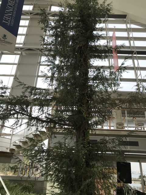 483B8363-4AB5-46A3-AA8B-FB798AC83B33