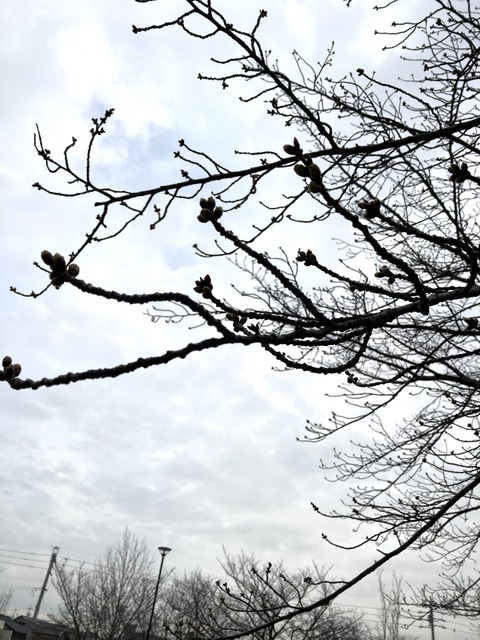 64232244-86E4-4B20-84DC-26ACEBCAD28E