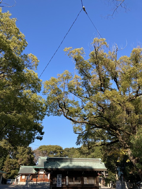 98027392-EF6A-4B09-BAA0-1F8793E5A1FE