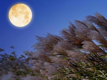 CD2867C2-9A4F-4FC9-98AE-7DFC40E5FAA9