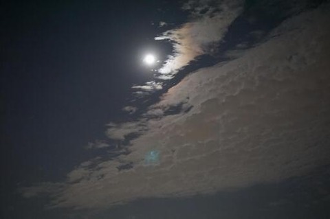 70FFF5F4-7D45-416B-9E41-2D1D9A327151