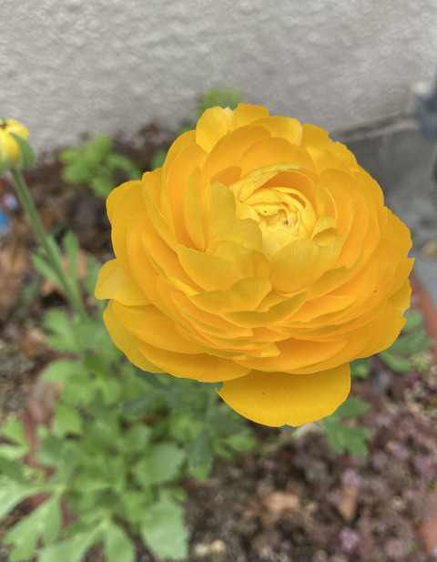 786D541C-5621-475B-BD5B-16AD8E8BD27F