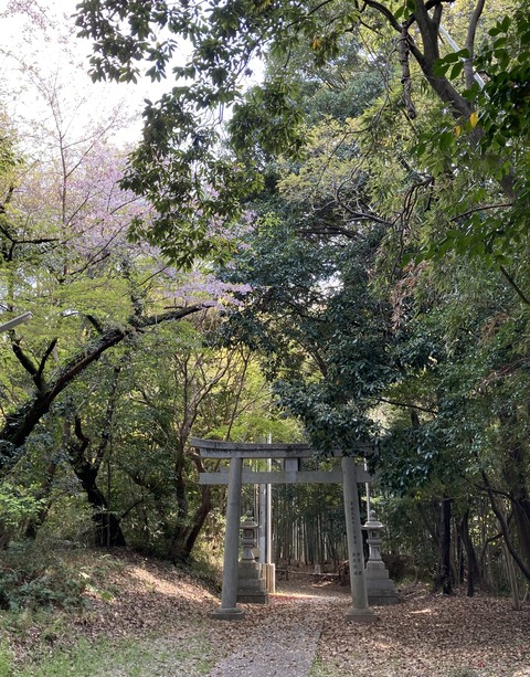 2902BCE4-FBB9-40C9-911B-5A6150CC5689