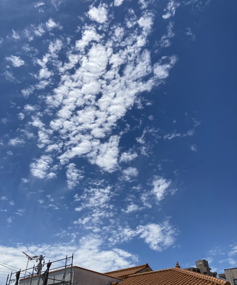 EC859949-05C7-4B9E-97E4-F637DC664EA4