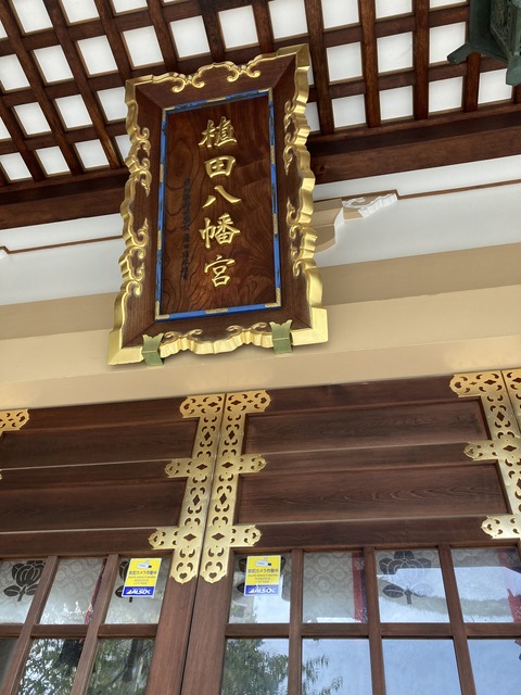 C3779DF9-6CF0-41A8-BE78-819DA2BA37ED