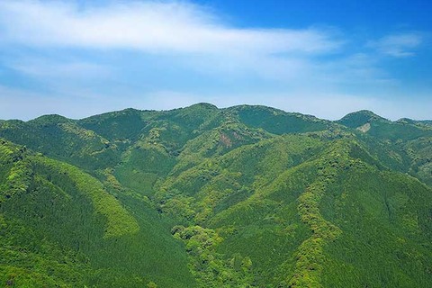 571A912E-24B9-42DF-BB6C-3747C4B263D0