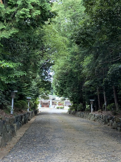 C0DDED19-885A-44F9-A7E5-0874B6228F87