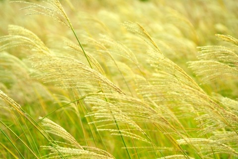 350AAF77-48A5-4FAE-9B2D-AB8CBD827CA6