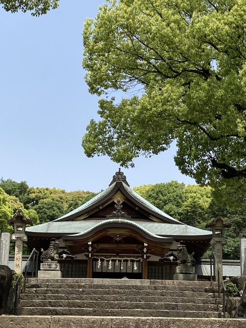 7F3913F3-3C28-41E2-AE6A-A89FF42EA1B9