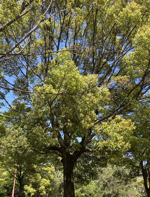 9D801F9D-5C44-49EE-9225-CC836922FE5F