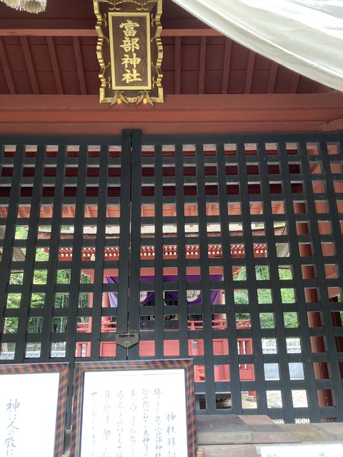 DD2CDDE4-58D5-4931-8EA1-4631876B12E2