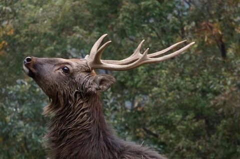 A42A9F02-E8F5-4334-8823-24FD2210608C