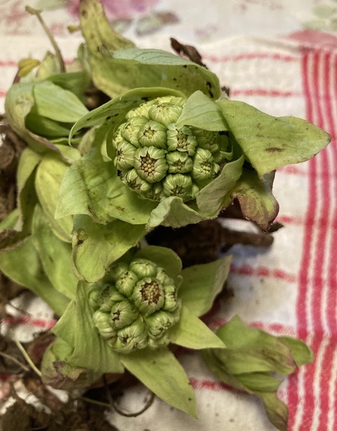 D7A49B27-68AB-4897-9193-513858713CF8