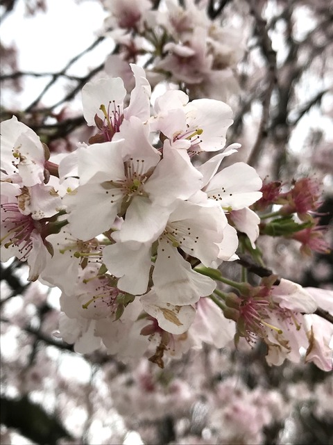 83ECB4C9-191D-47F3-8D63-752D84913C51